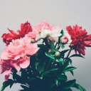 sabamuhammad1 avatar