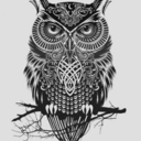 saber-dor-ria avatar