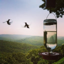 sabirin-fil-ba2saa-wa-daraa avatar