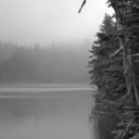 sabotaging-life-for-death avatar