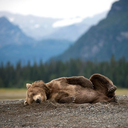 sabrina-oldblog avatar