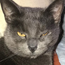 sabrina-phynn avatar