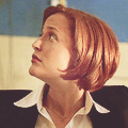 sabrinagkelly-blog avatar