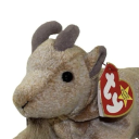 saccharinecaprine avatar