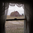 saccharinescalpel avatar