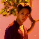 saccsuccsbees-blog1 avatar