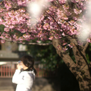 sachiko-aside avatar