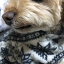 sachio-kubota avatar