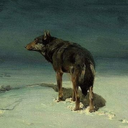 sacred-and-profane avatar