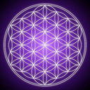 sacred-flowers-blog avatar