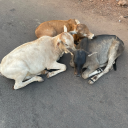 sacredandmundane avatar