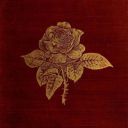 sacredsanguine avatar