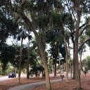 sacredsimplicityyy avatar