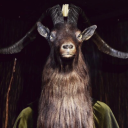 sacredsunlight avatar