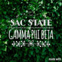 sacstategammaphi avatar