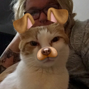 sad-alien-666 avatar