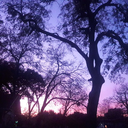 sad-machine11 avatar