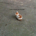 sad-nerdy-girl avatar