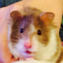 sad-sarcastic-expired-sushi avatar