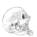 sadand-boujee avatar