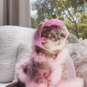 sadbutstillslaying avatar