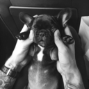 saddepressed-universe avatar