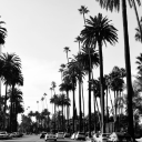 sadderdaze-24-7 avatar