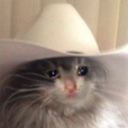 saddest-cat-hours avatar