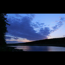 saddestturtle avatar