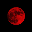 saddestwomen3 avatar