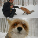 saddnesscentral avatar