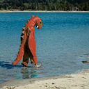 saddragonkraytdragon avatar