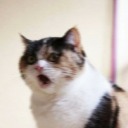 saddsoulsworld avatar