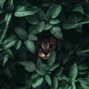 sadece-1-insan avatar