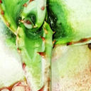 sadejuju-blog avatar