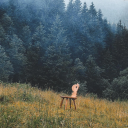 sadflowersworld avatar