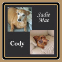 sadiemae-cody-and-friends avatar