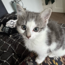 sadiesleepyhead avatar