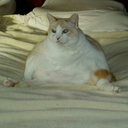 sadistic-giraffe avatar