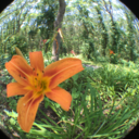 sadisticparadox avatar