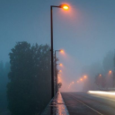 sadlittlepoet avatar