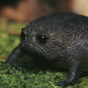 sadness-is-real-yes avatar