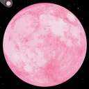 sadpinkmoon avatar