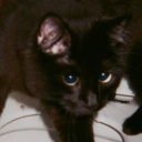 sadpossumflan avatar