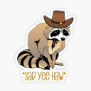 sadracconcowboy avatar