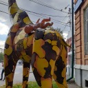 sadrussianbagel avatar