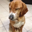 sadsleepyandantisocial avatar