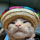 sadsnoot avatar