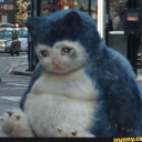 sadsnorlax1903 avatar