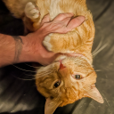 saegannintendo avatar